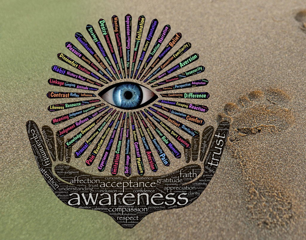 awareness aranea